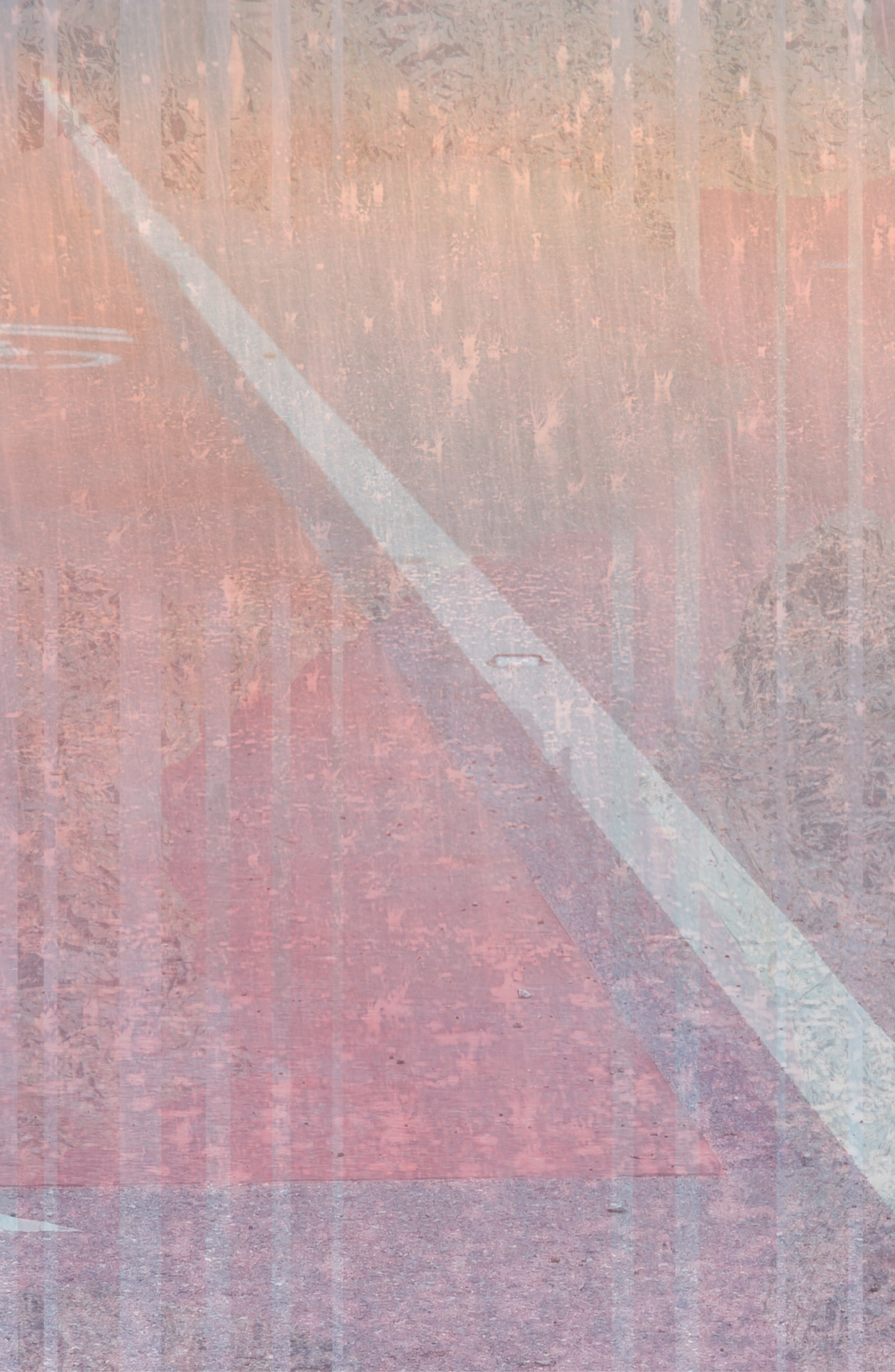 ectan (1).png