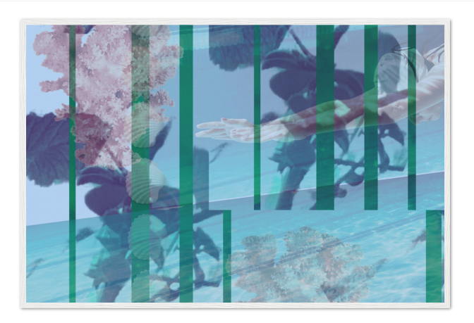 Screenshot 2024-08-21 at 2.12.16 PM.png