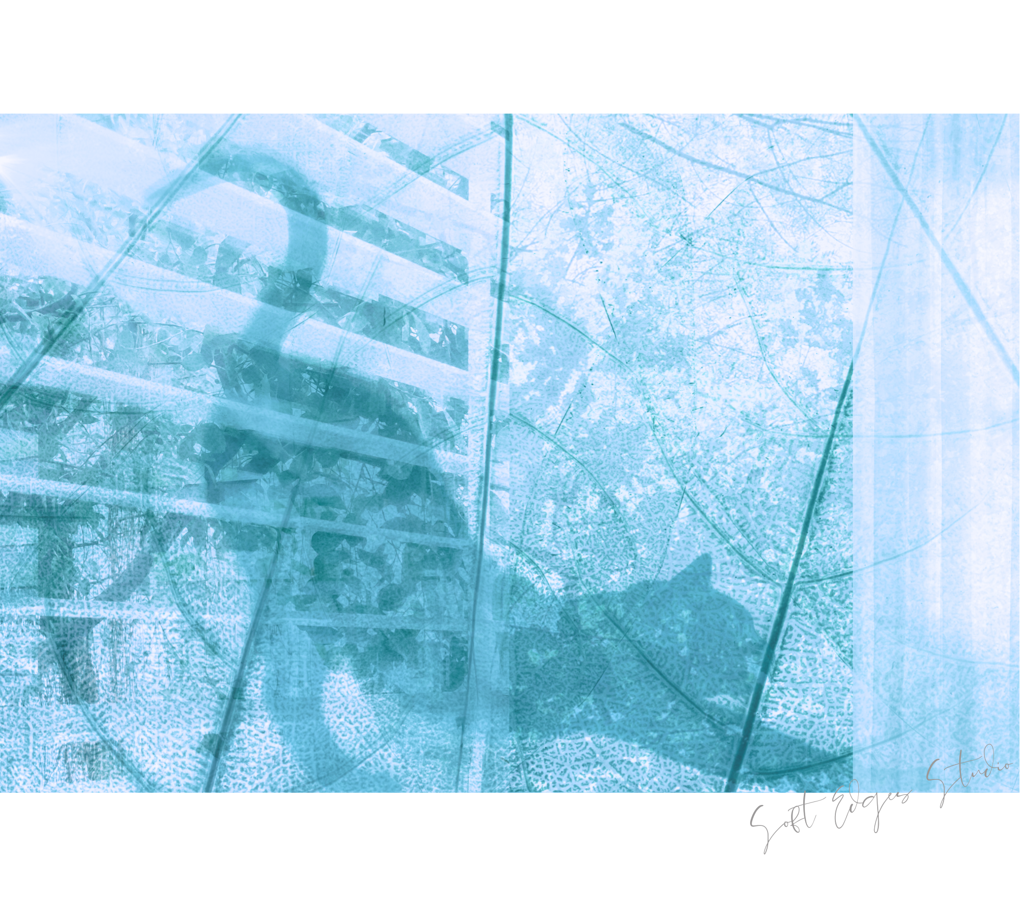 V2 Cat 1800 x 1200 upper walkway