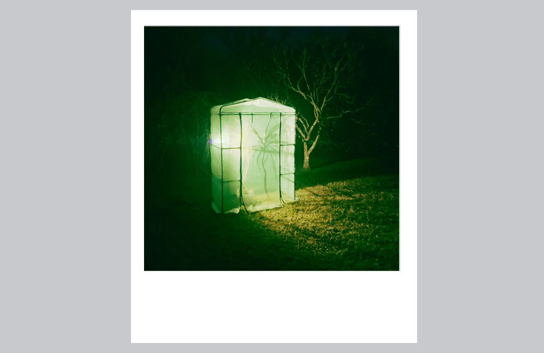 Light installation by Rachel and Jake Biffin of glowing greenhouse in the night garden