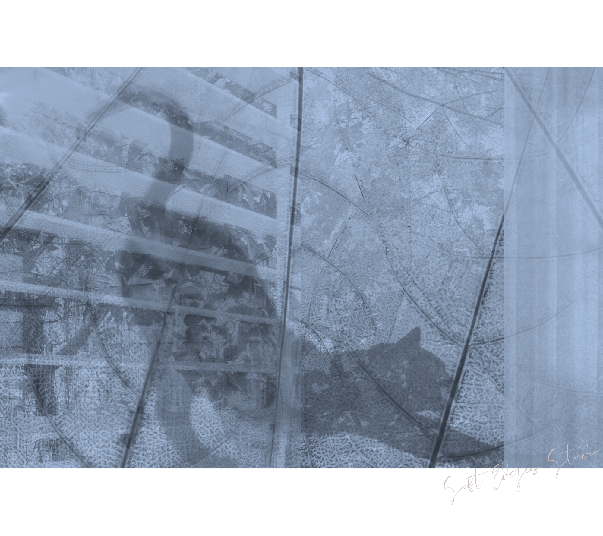 V3 Cat 1800 x 1200 upper walkway