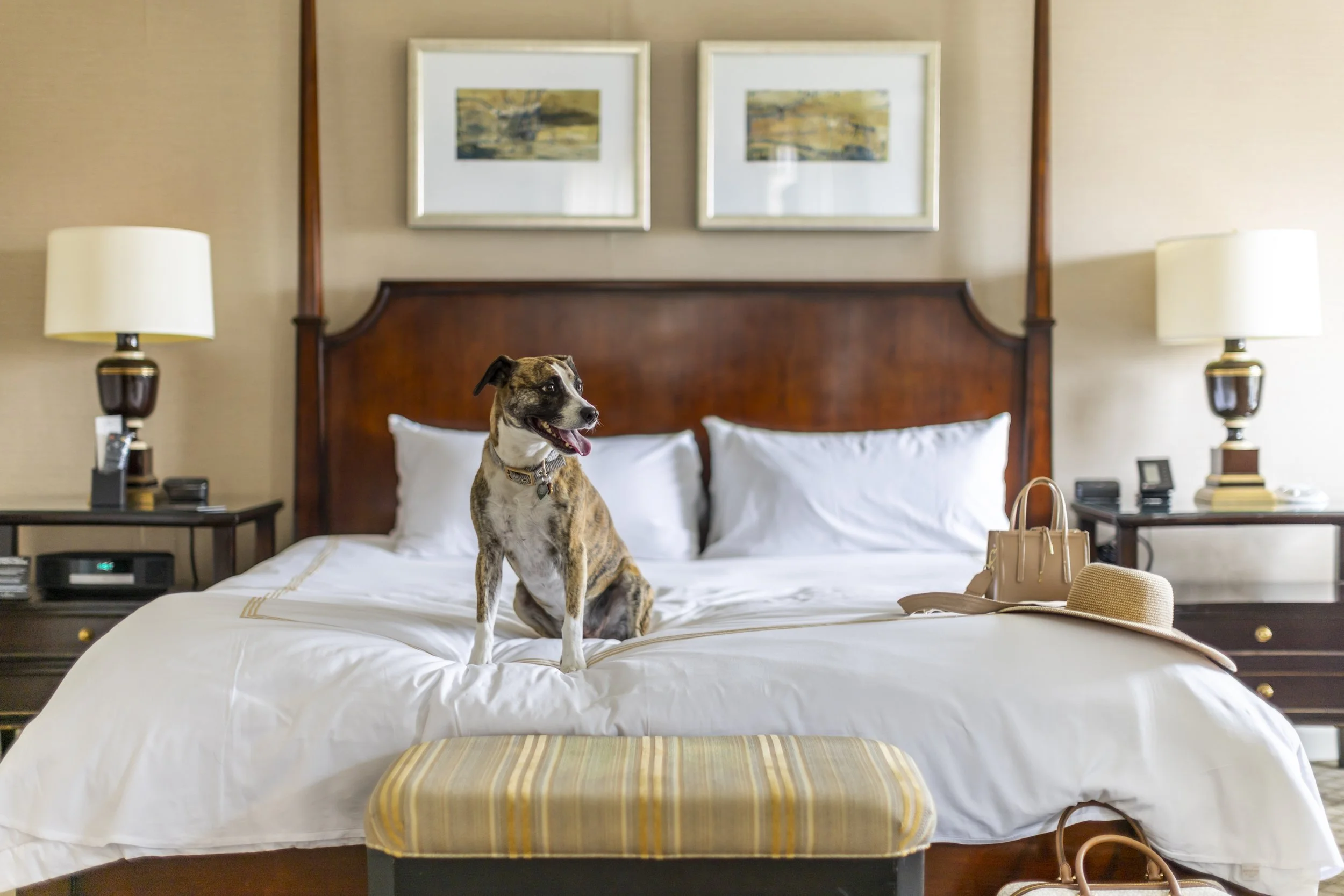 Townsend June 223280.JPG