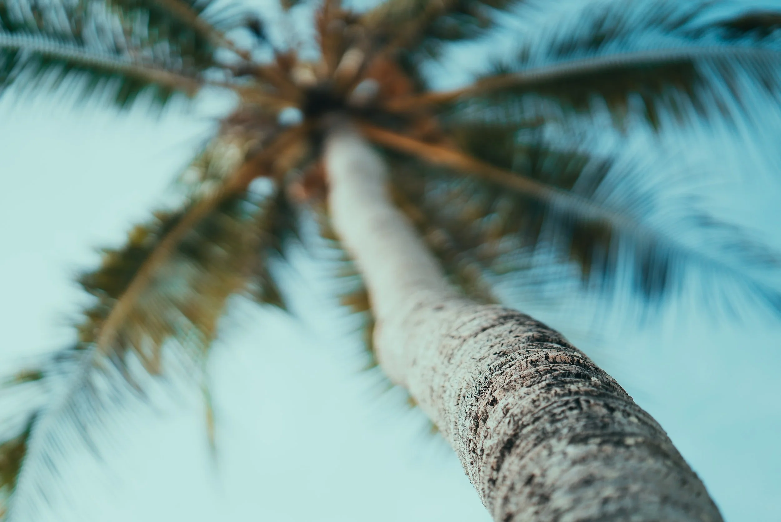 unsplash-image-ZLH7QrDk7Uk.jpg