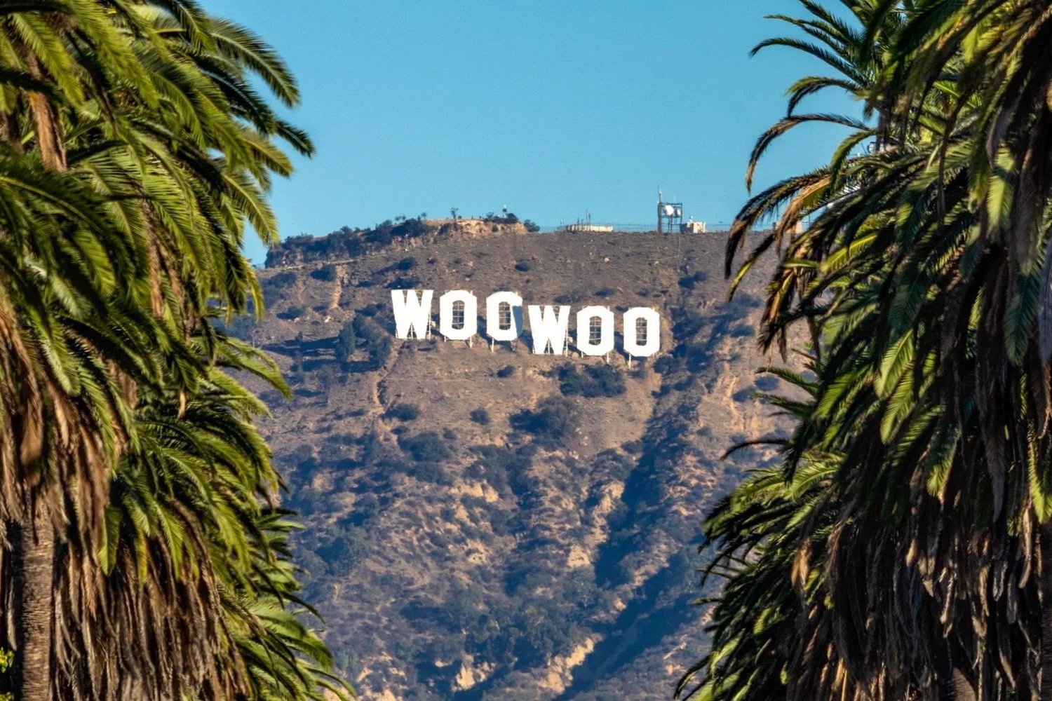 A Snob’s Guide to Wellness in L.A. by Stacy Suaya