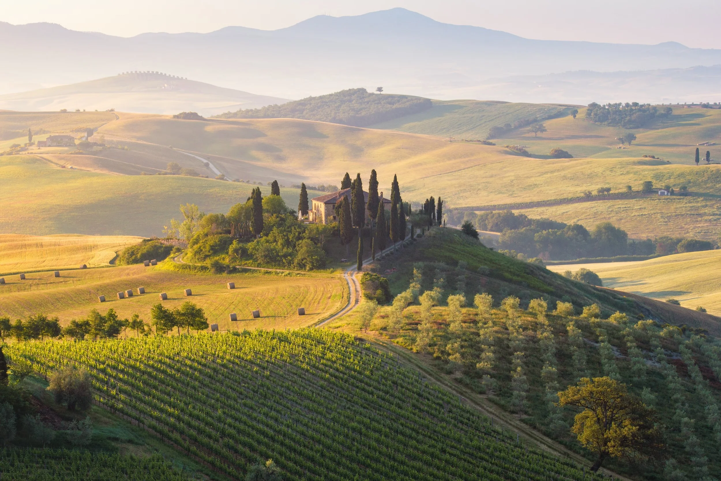 A Snob’s Guide to Tuscany by Ondine Cohane