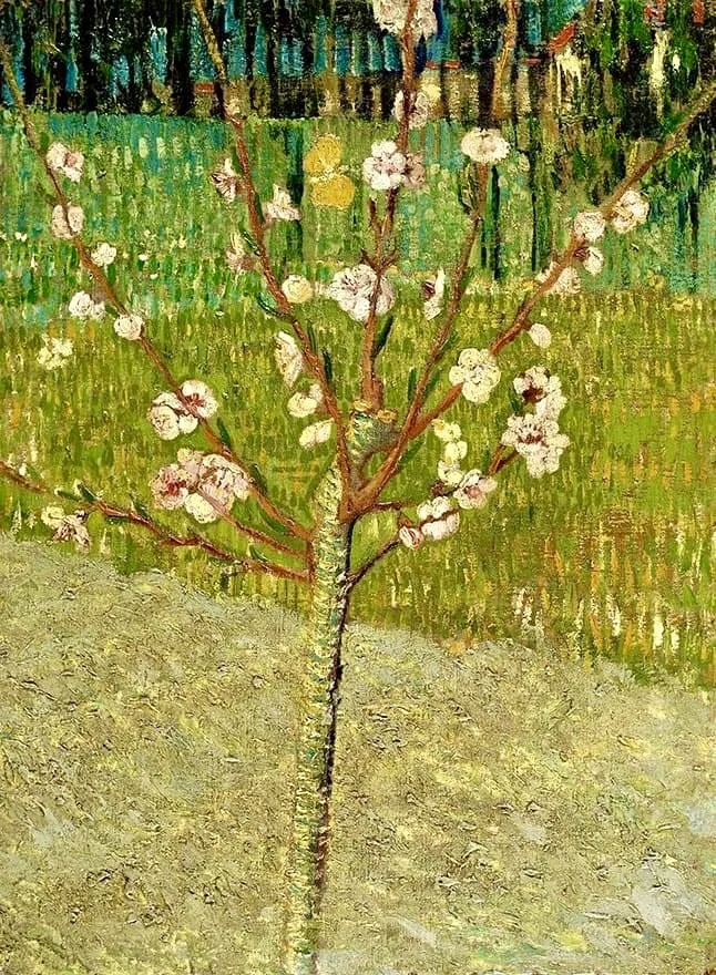 VAN GOGH - Almond Tree in Bloom
