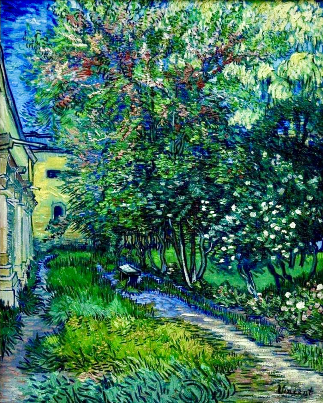 Vincent van Gogh  The garden at the asylum at Saint-Rémy 1889.
