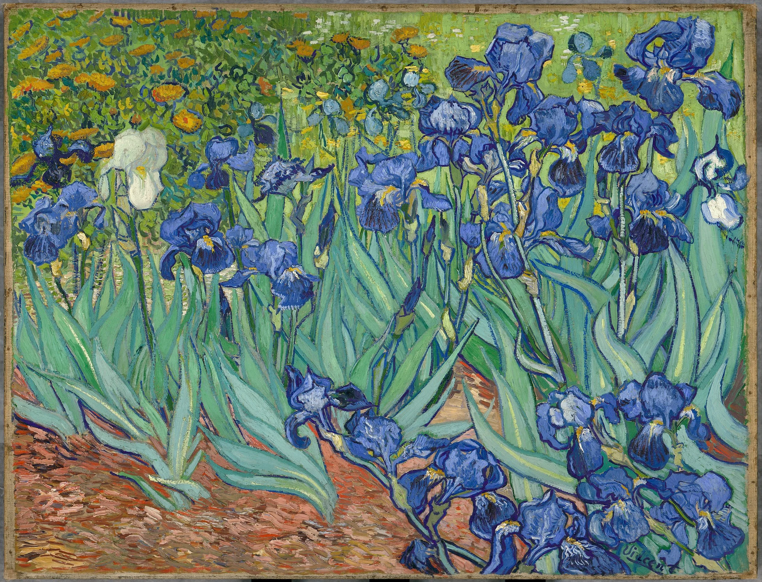 Irises by Vincent Van Gogh