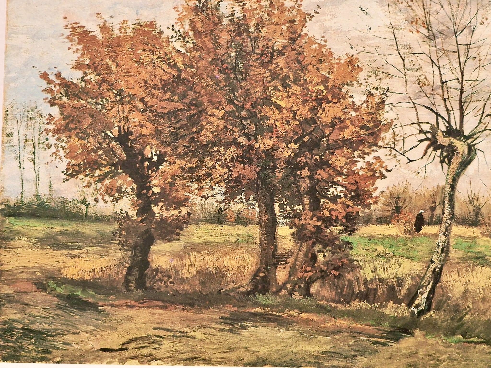 Vincent van Gogh - Autumn landscape with four trees - November 1885