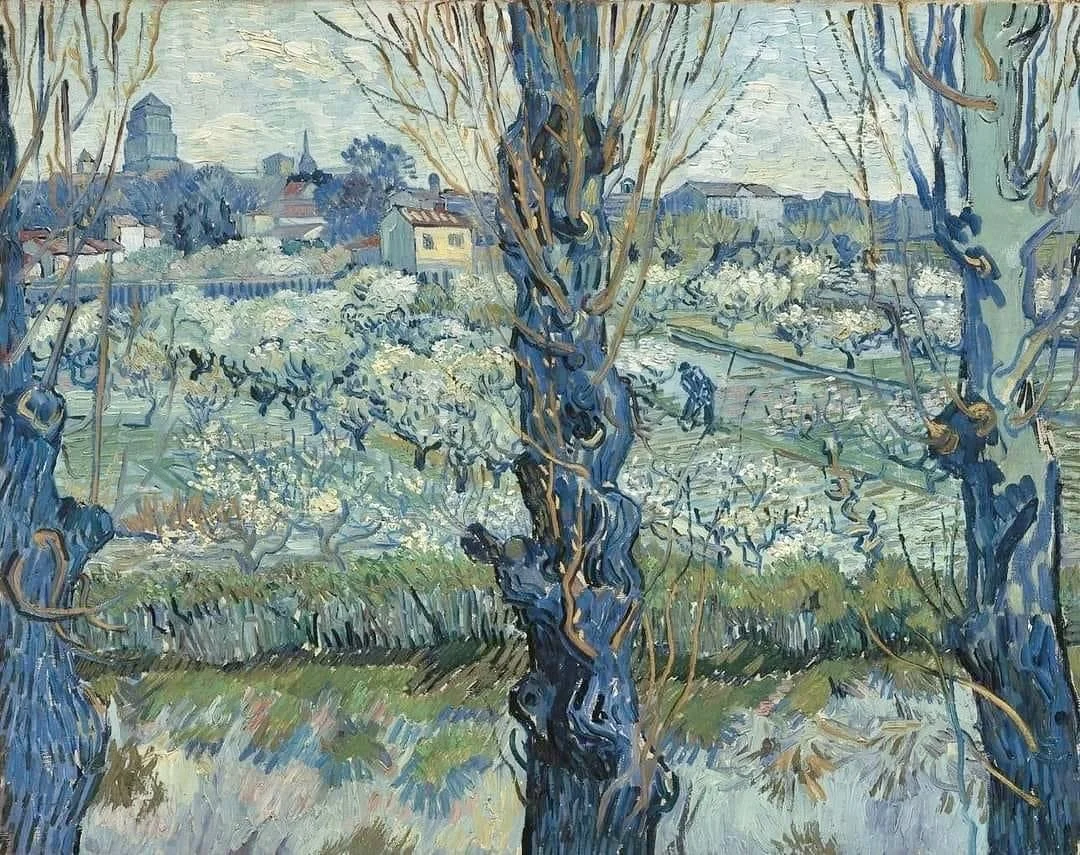 "View of Arles. Orchard in bloom with poplars in the forefront" (Arles, April 1889) [F516] By Vincent van Gogh (Dutch, 1853-1890) oil on canvas; 72 x 92 cm © Die Pinakotheken Munich, Germany