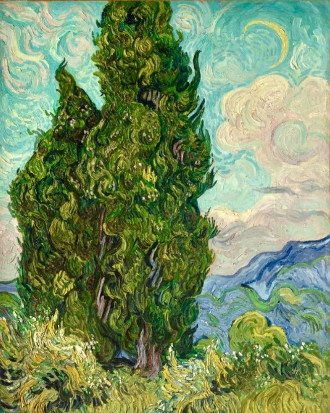 Cypresses