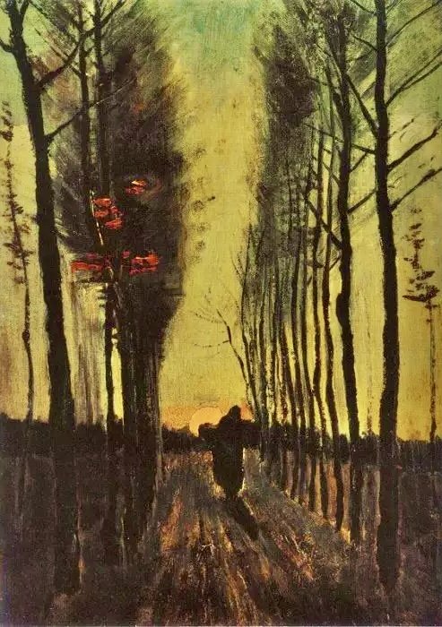 Lane of Poplars at Sunset