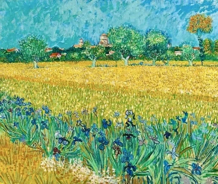 SUMMER OF 1888 IN ARLES BY VINCENT VAN GOGH