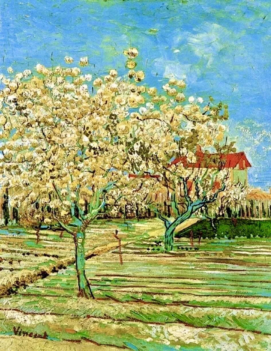 Spring Blossom Arles by Vincent van Gogh