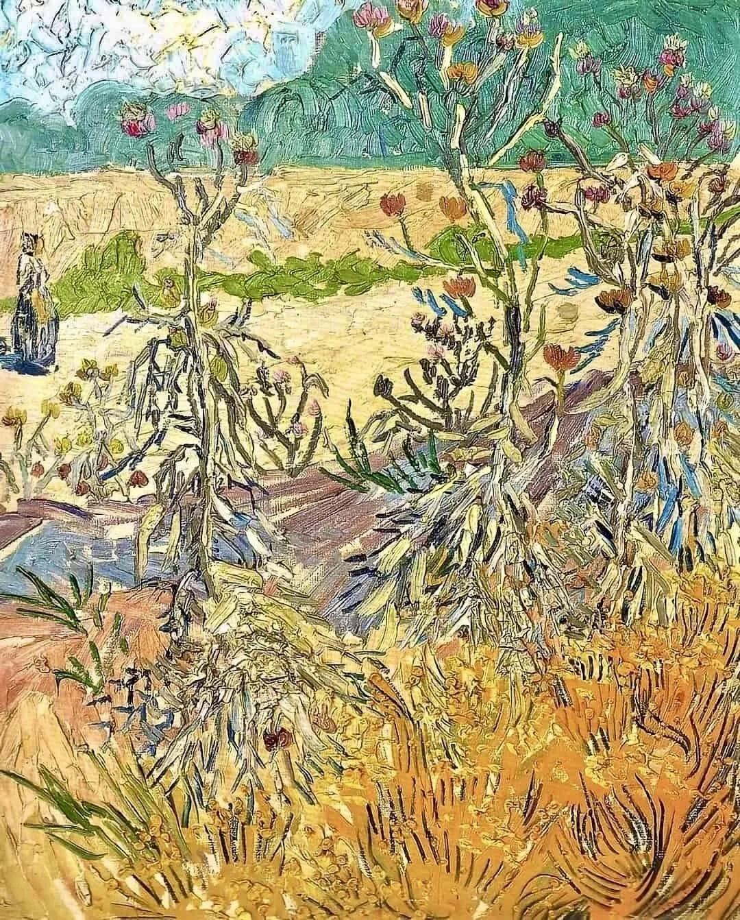 Vincent Van Gogh, Thistles - Arles, August 1888, Tate Gallery London - United Kingdom