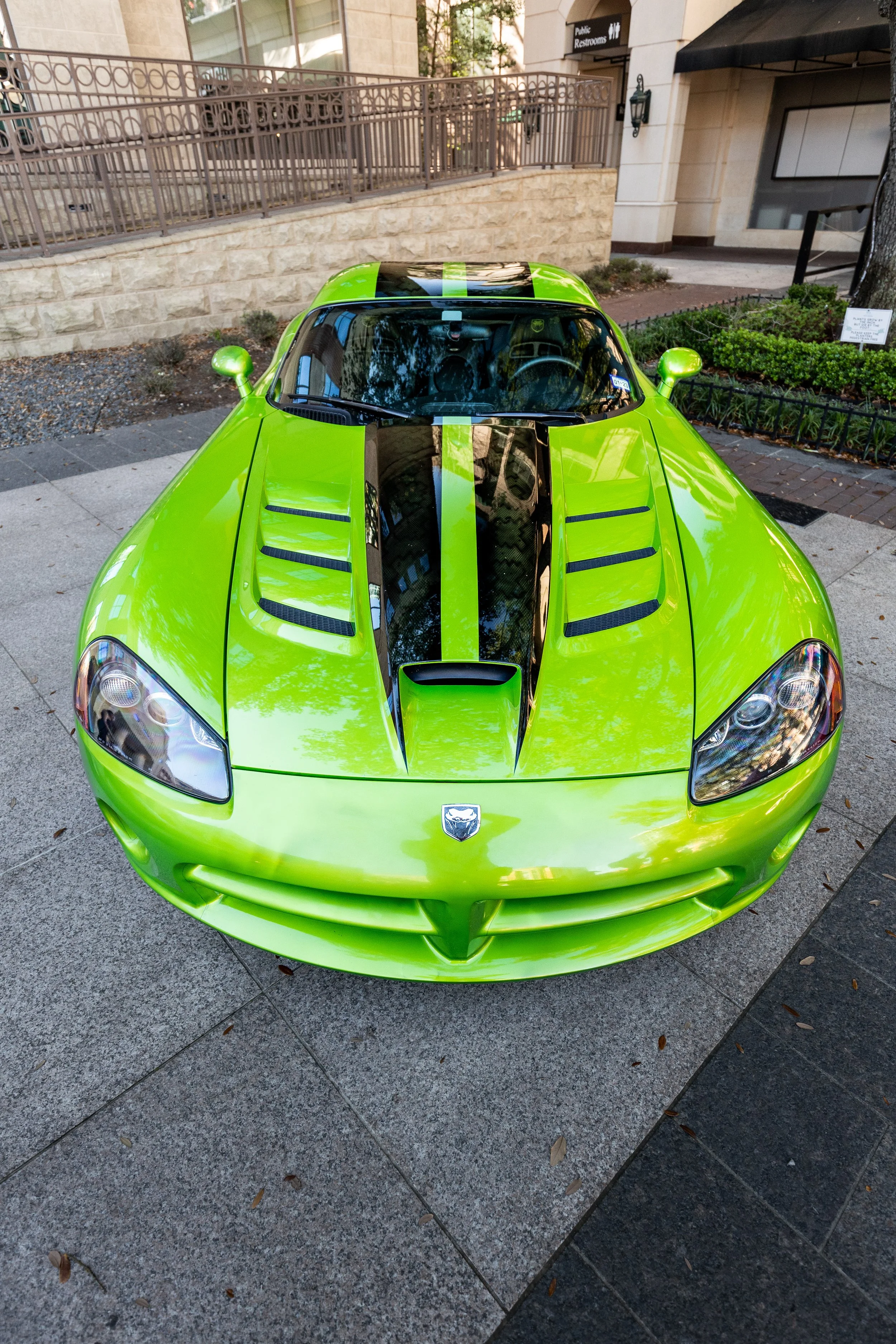 The Car Culture March-16.jpg