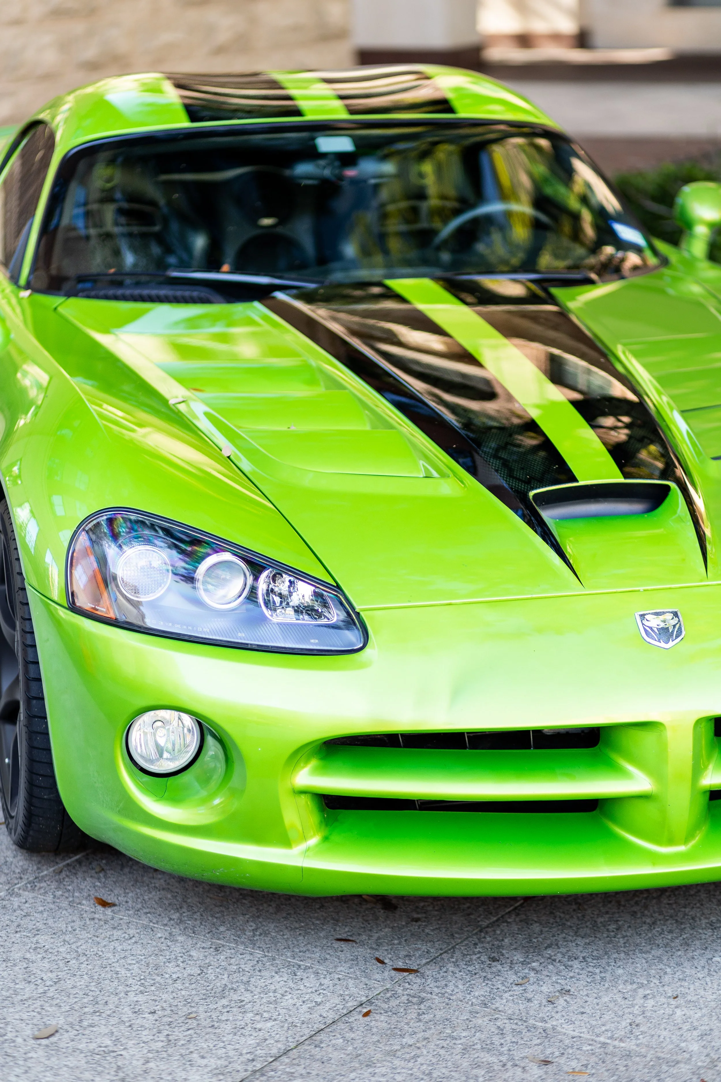 The Car Culture March-24.jpg