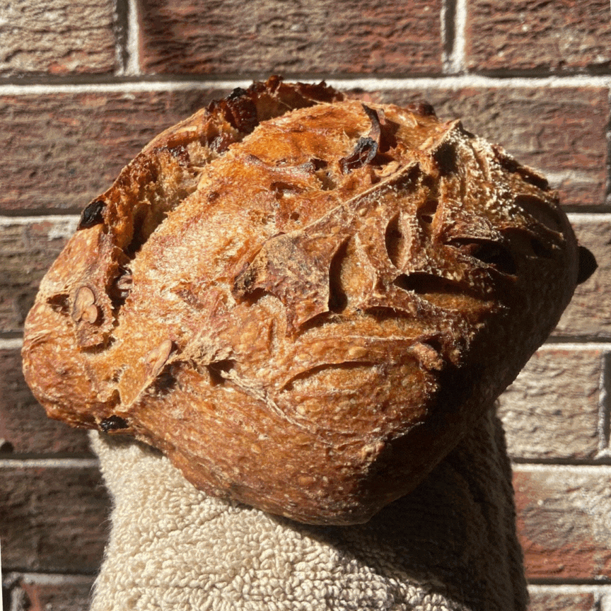 Baker's Choice Subscription