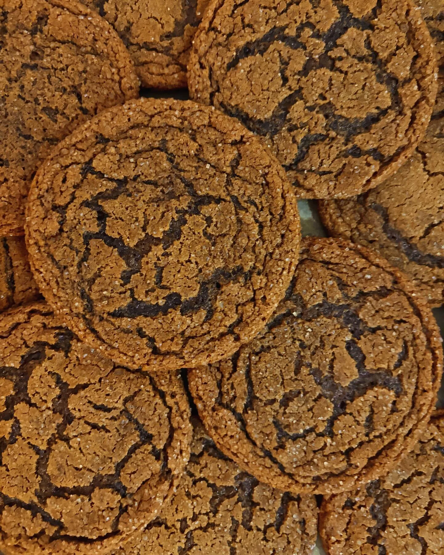 Ginger molasses cookies are getting dressed up in coarse turbinado sugar for a date with you tomorrow at @parkandgrovechs ! Can&rsquo;t wait to see you there!