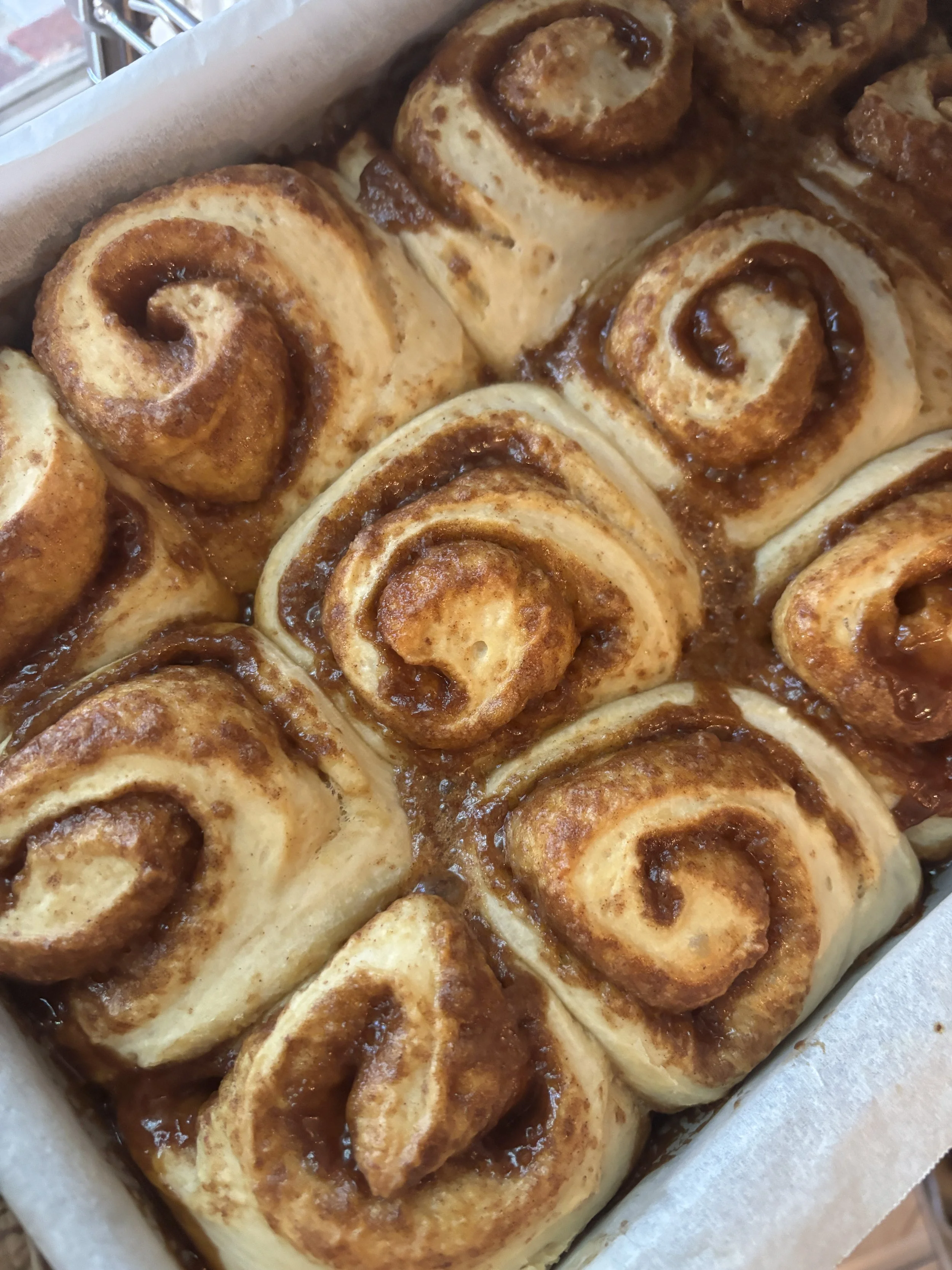 Cinnamon Roll Six Pack
