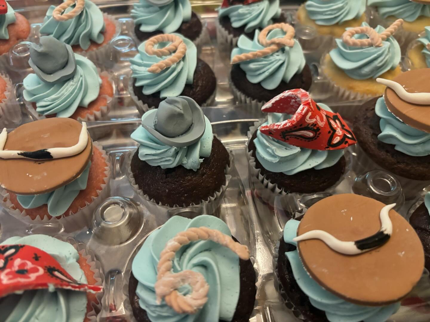 Cowboy themed cupcakes for a baby shower 
.
.
.
.
.
#babyshower #babycupcakes #cowboybabyshower #customcakes #cupcakesofinstagram #fondantcupcaketoppers #baby #babyboy