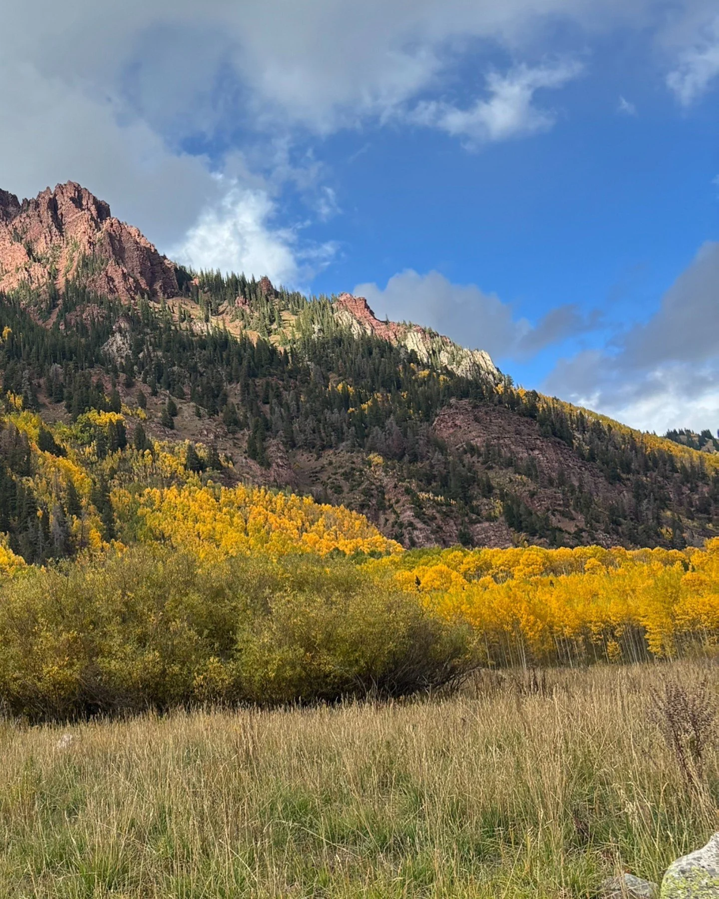 There are no words to describe the feelings we had seeing the mountains and the leaves in Colorado last week! We were there during  the peak of the turning leaves and it was mindblowing. Around every corner was another exhilarating view we couldn't i