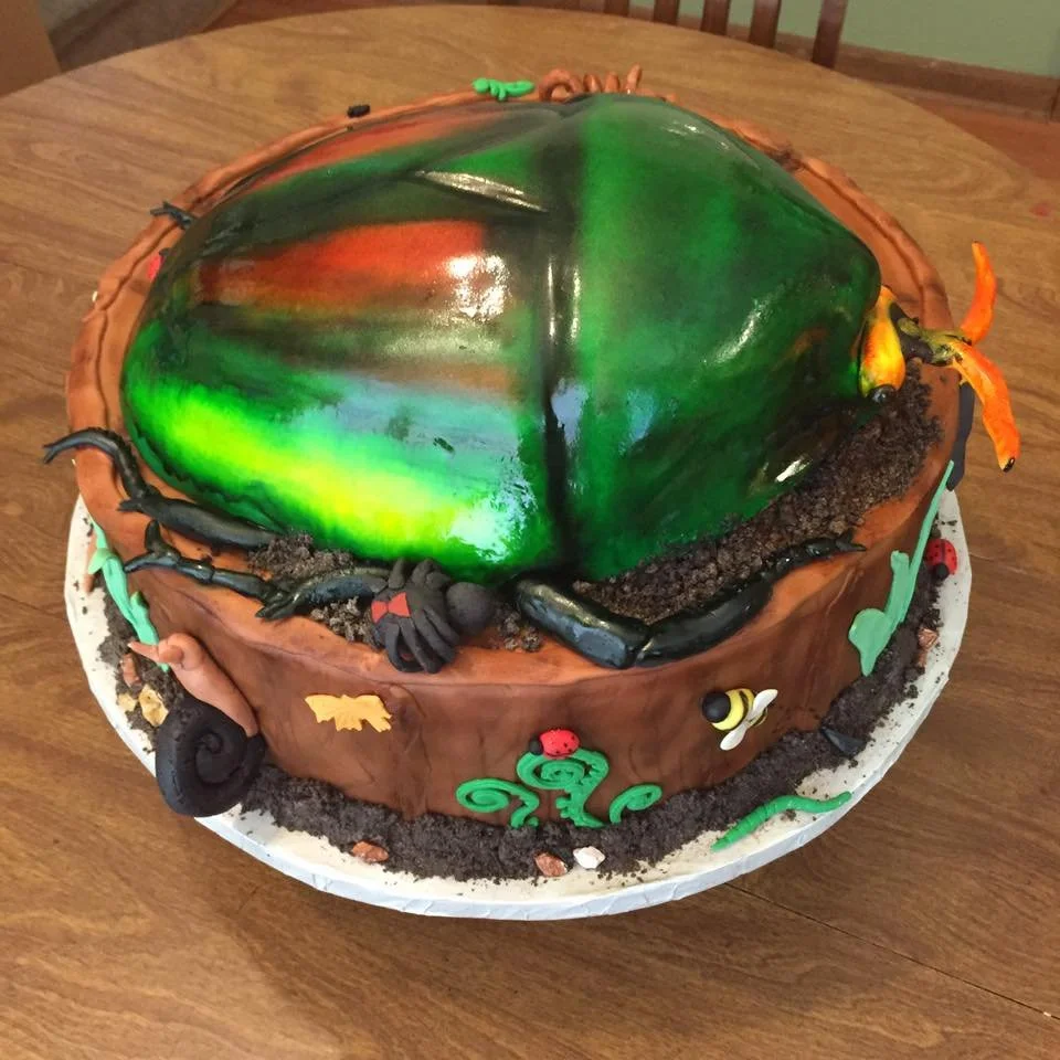 THROWBACK to July 2016 
Eudicella gralli alaeri (Flower Beetle) cake
Swipe to see a photo of the real beetle. 
Tree stump with bee, snail, tarantula, earthworm, dirt, black widow, ladybug, butterflies, glow worm, and caterpillar
.
@uga.ento.dept - th