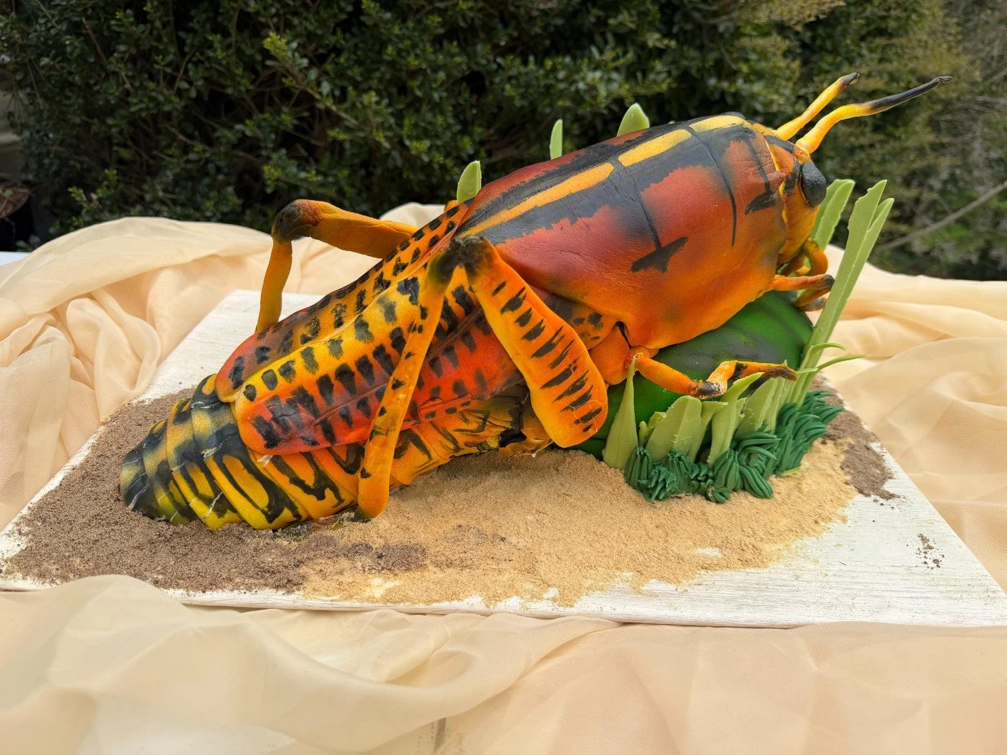 From every angle&hellip; it looks real 🦗

This sculpted grasshopper cake is one of those designs that makes people stop, stare, and question everything.

Cake or real&mdash;what was your first thought?

#realisticcake #grasshoppercake #insectcake #c