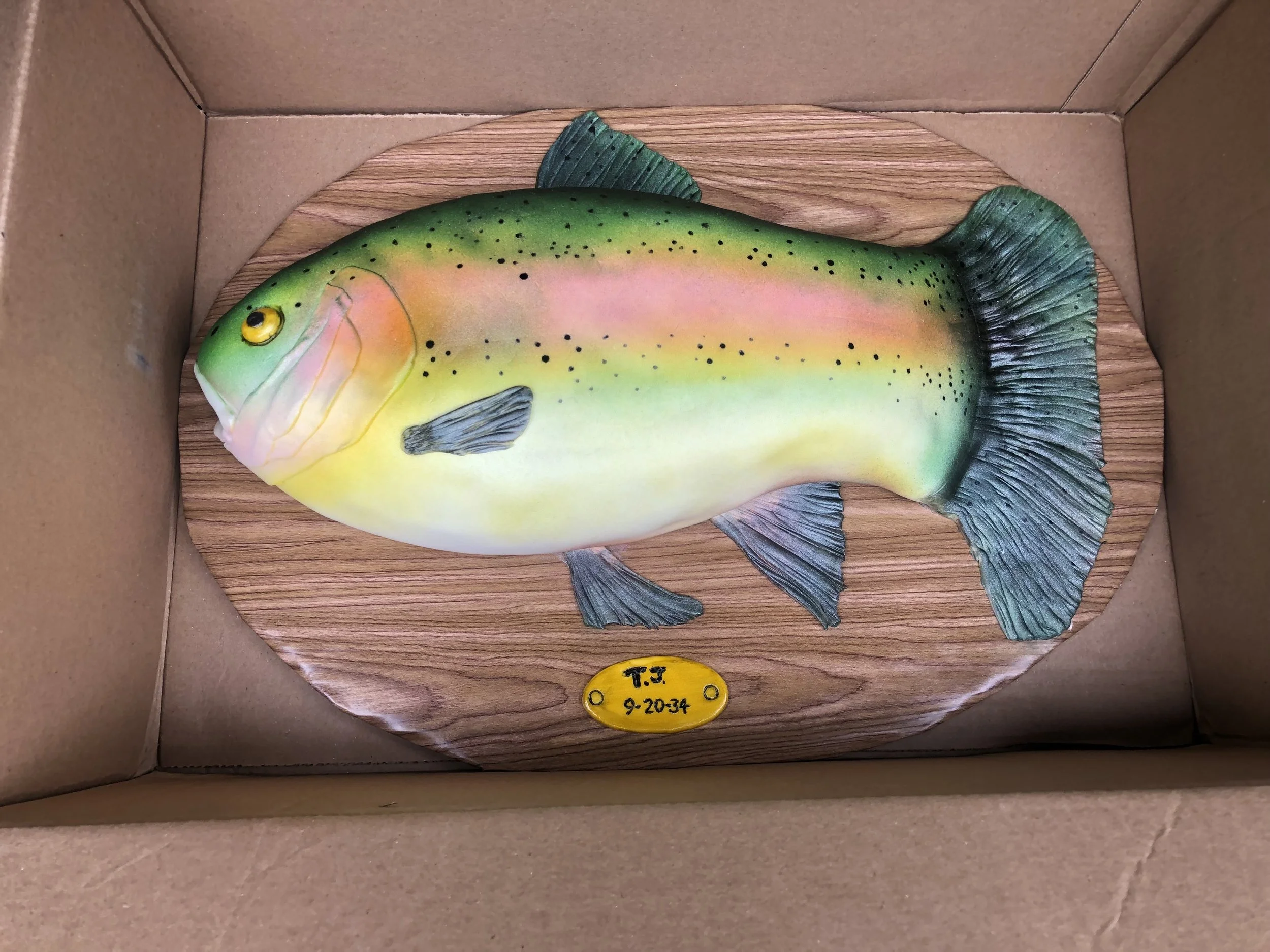 Realistic rainbow trout cake designed to resemble a mounted fish trophy.