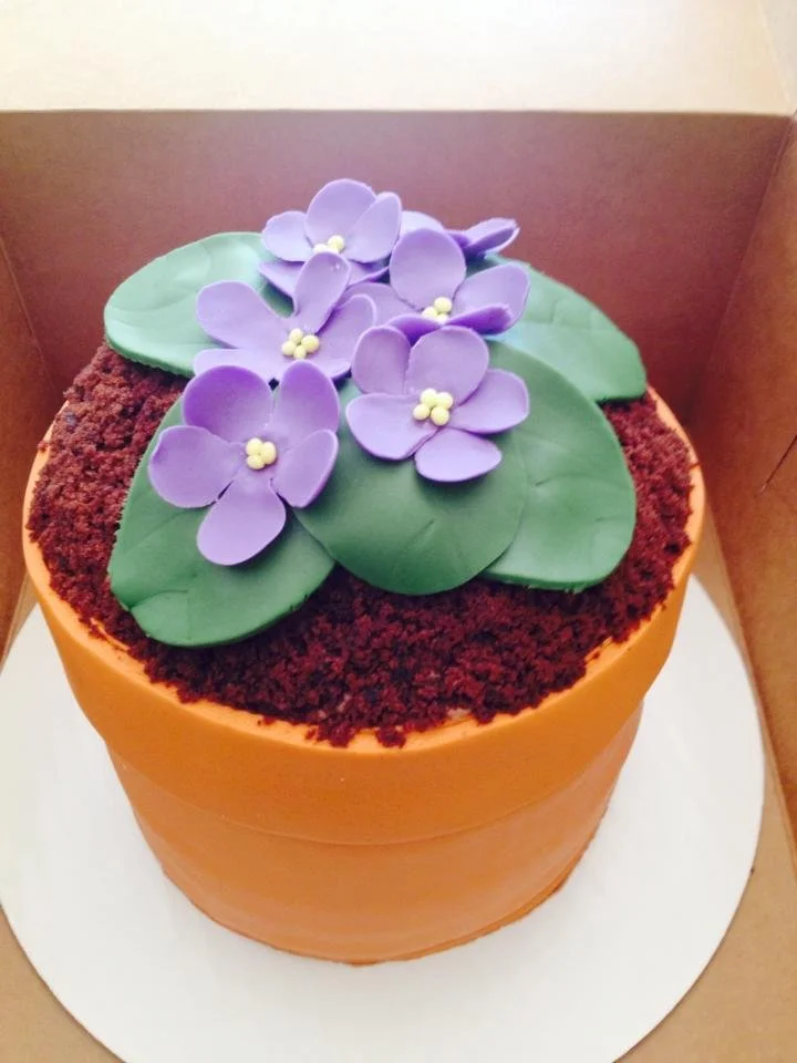 Flower pot cake filled with realistic violet blossoms and textured buttercream soil
