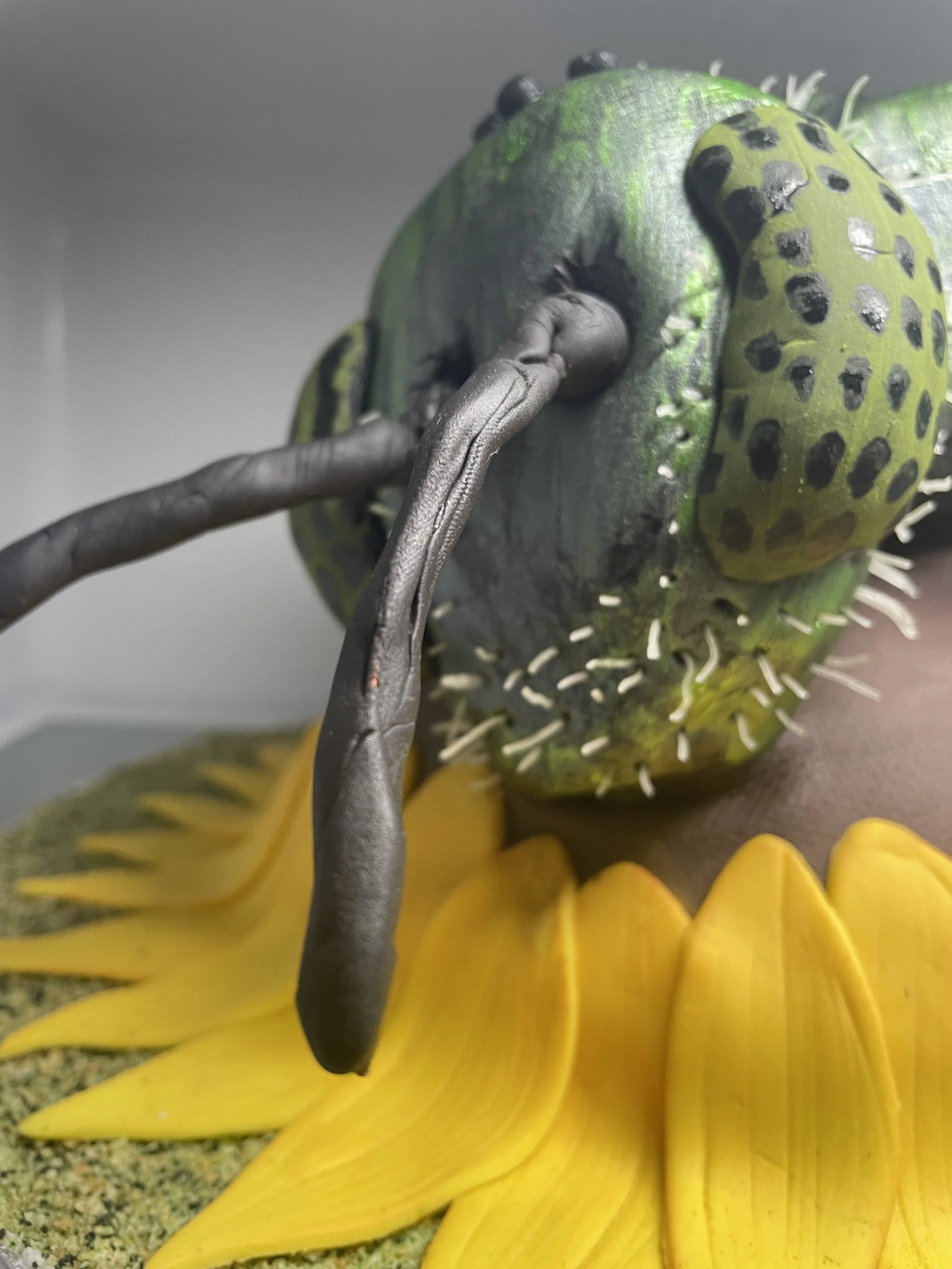 An artistic sculptured cake of a green metallic sweat bee face with a green, spotted, insect-like face with a large black and gray tongue extending from the mouth, resting on a yellow sunflower with textured petals.