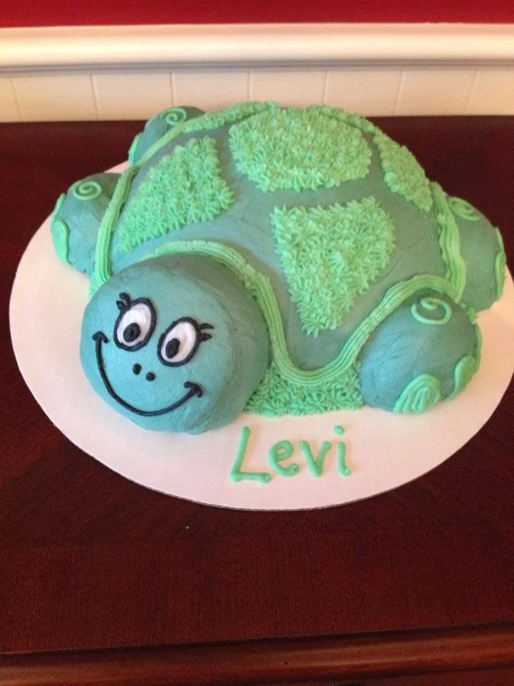 Whimsical sculpted turtle cake with textured shell and fondant detailing