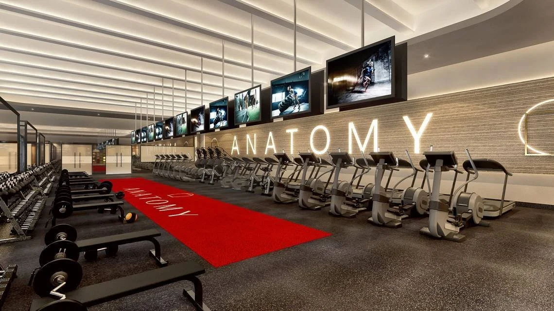 Anatomy (6 Locations)