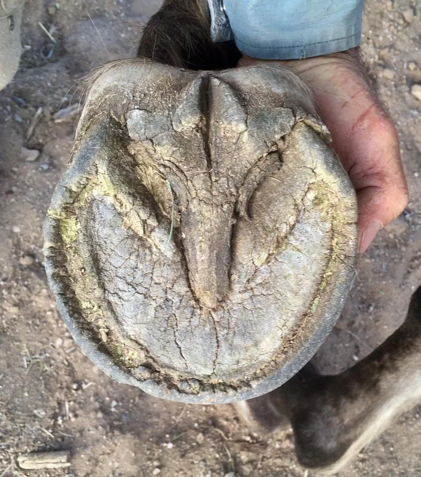 August 2018 - Second Trim