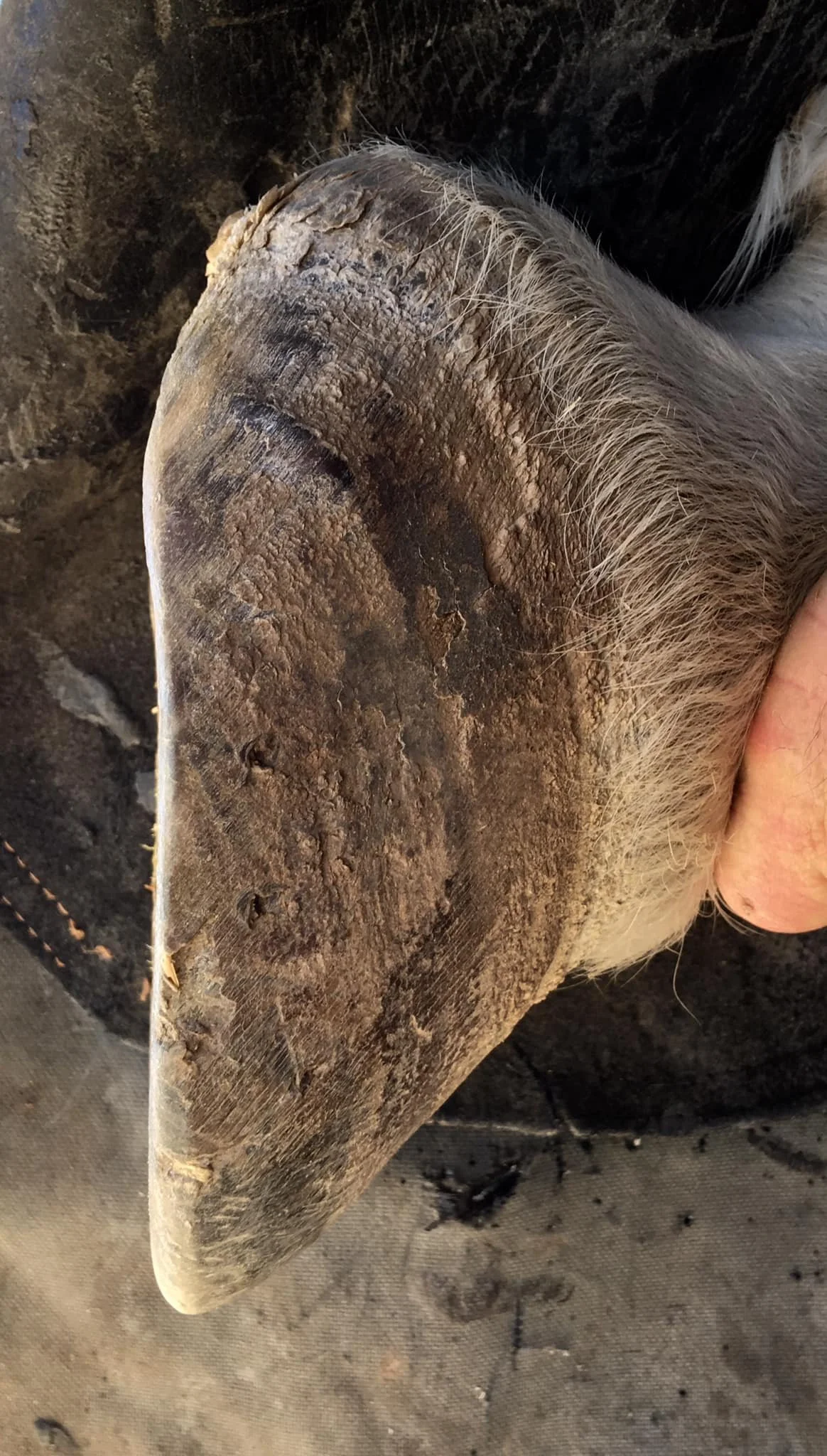 October 2020 - Second trim