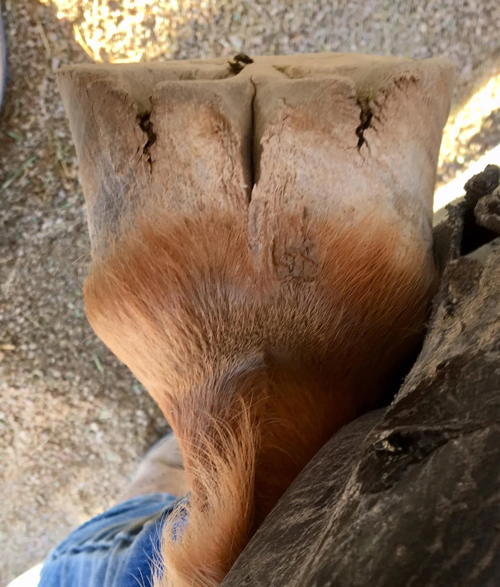 77.jpg