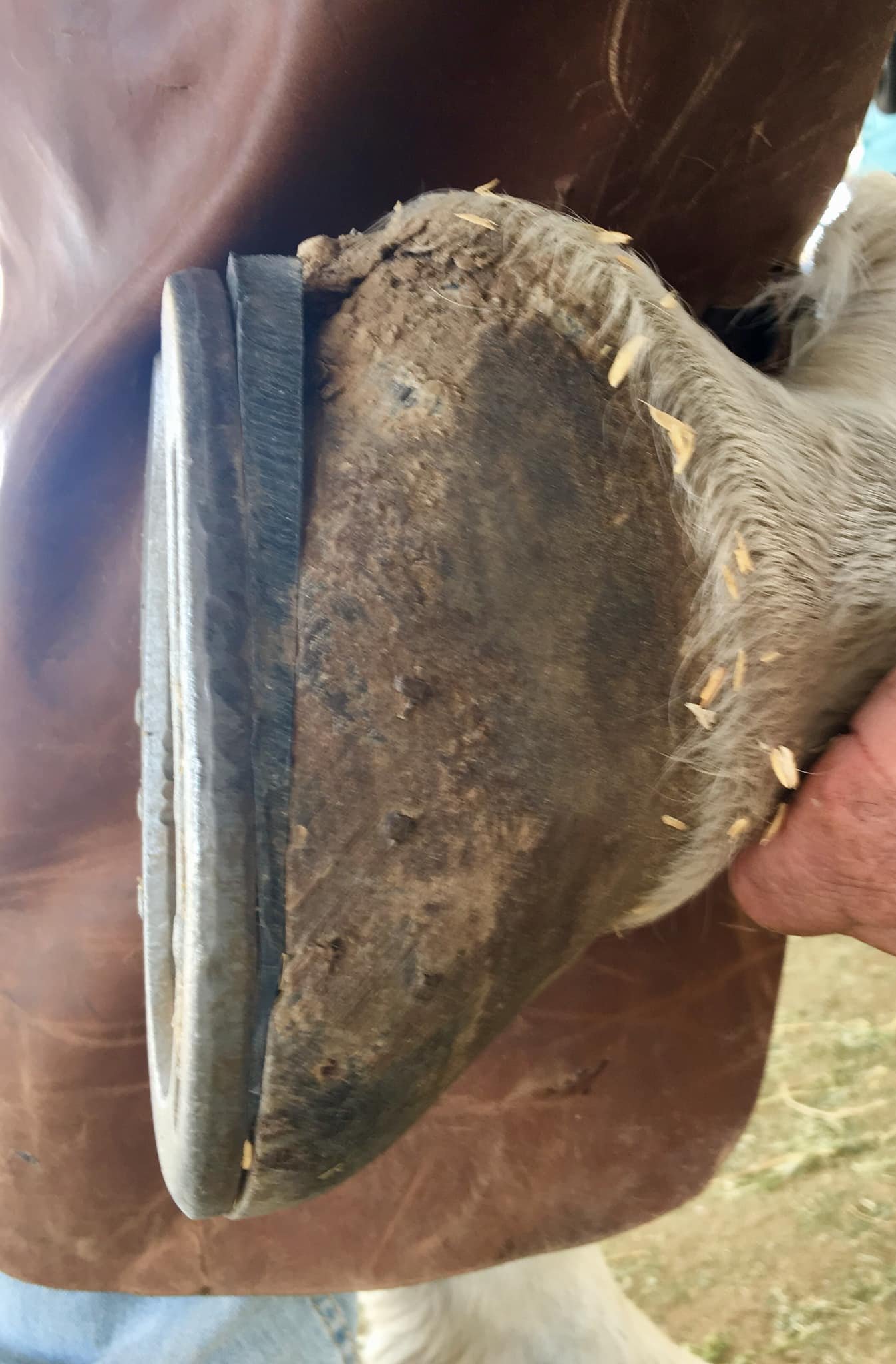 September 2020 - Pulled shoes and set up to go bare