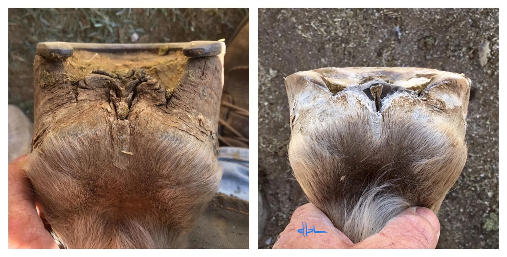 October 2020 - April 2021