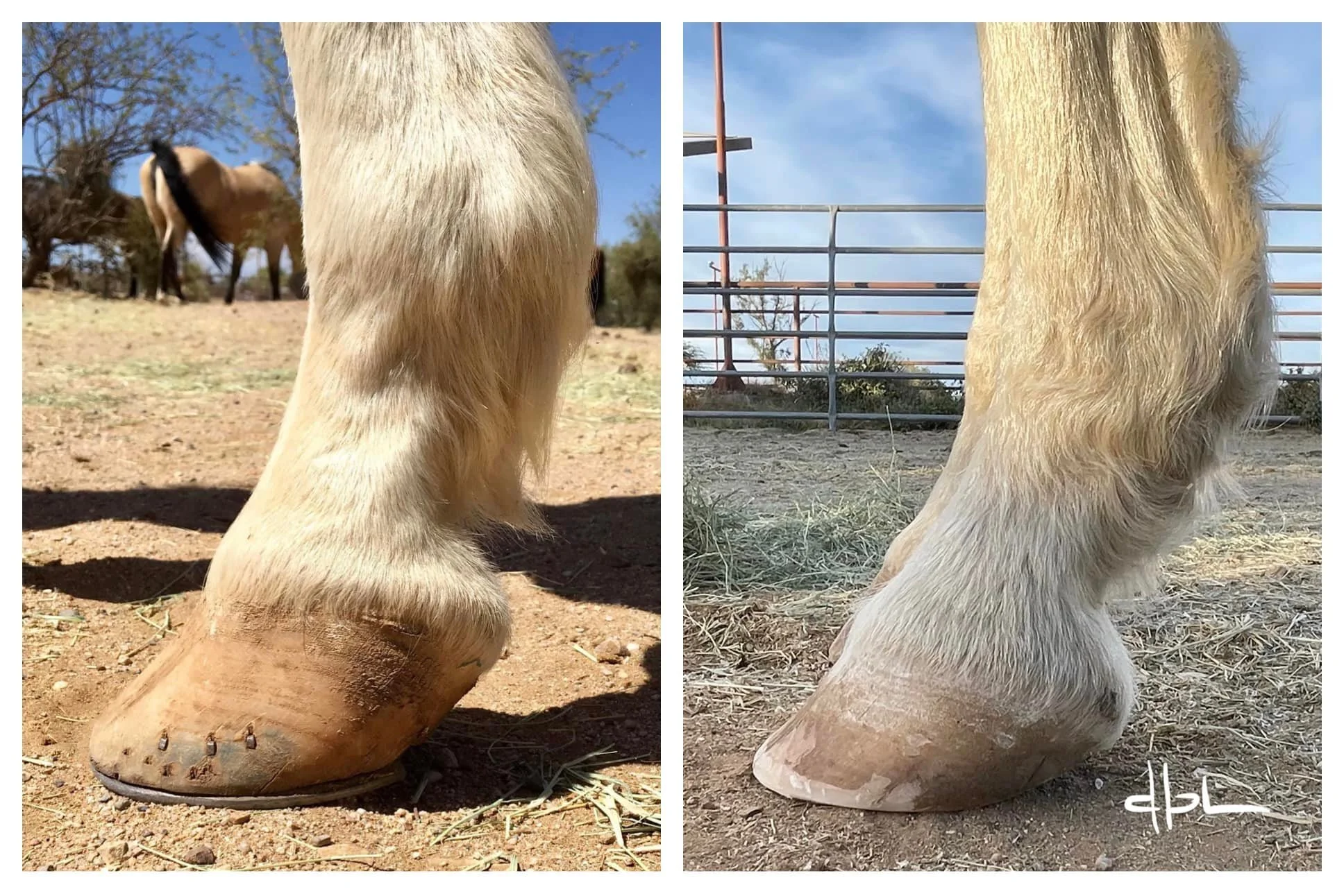 May 2021 - December 2021