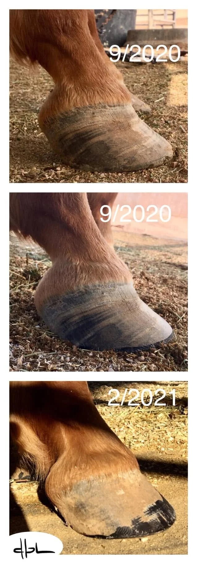 86.jpg