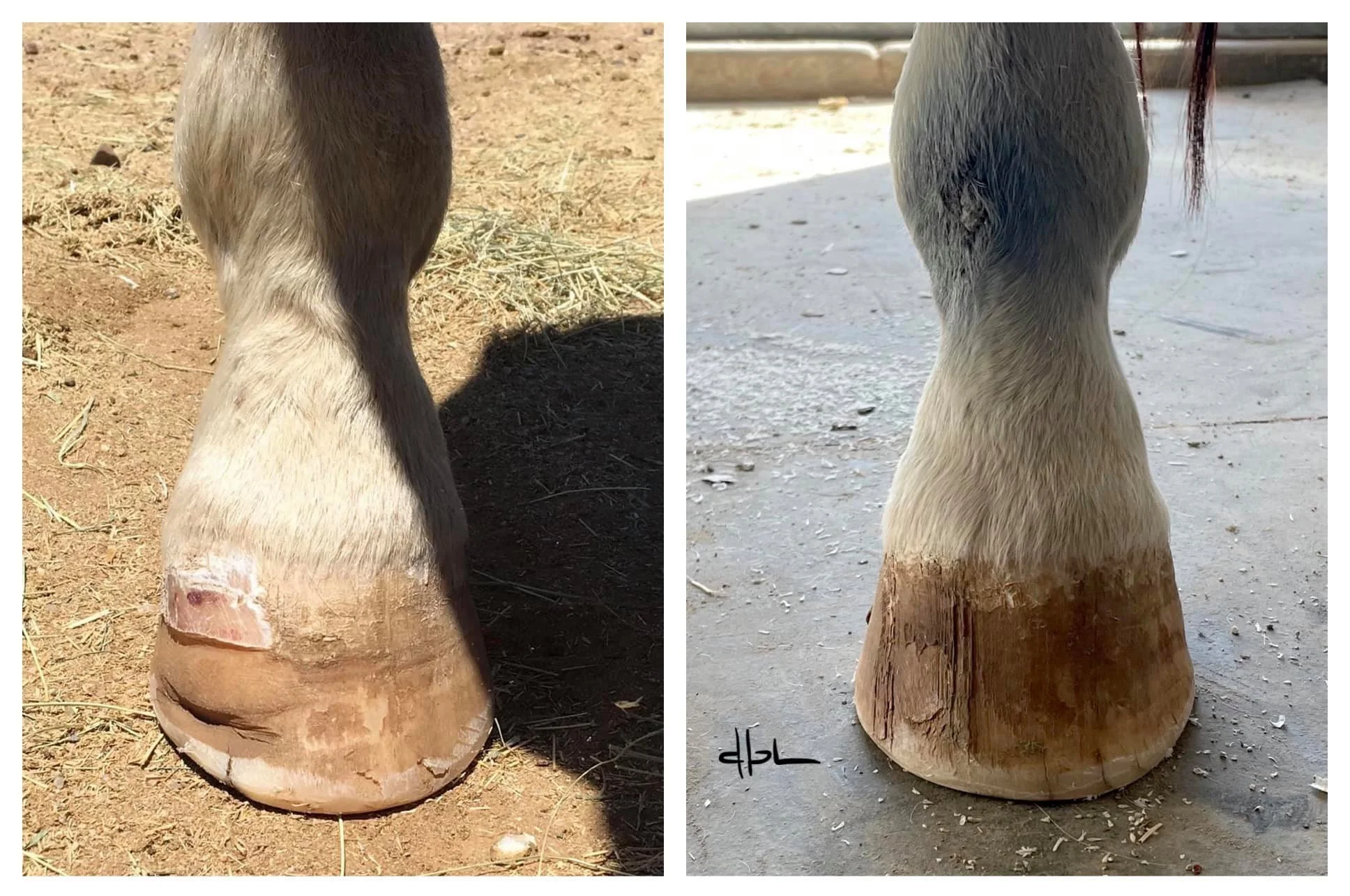 May 2021 - October 2021