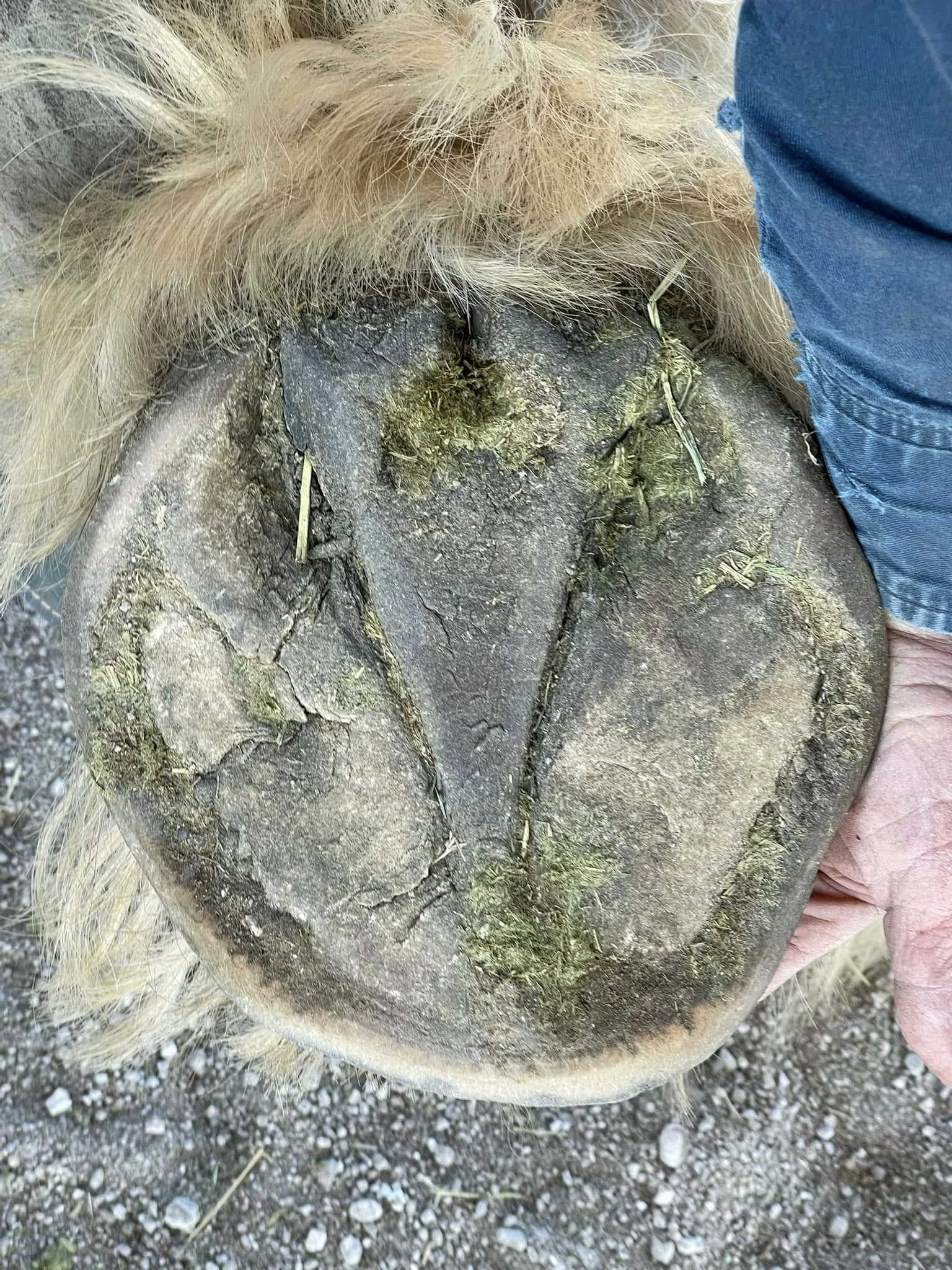 53.jpg