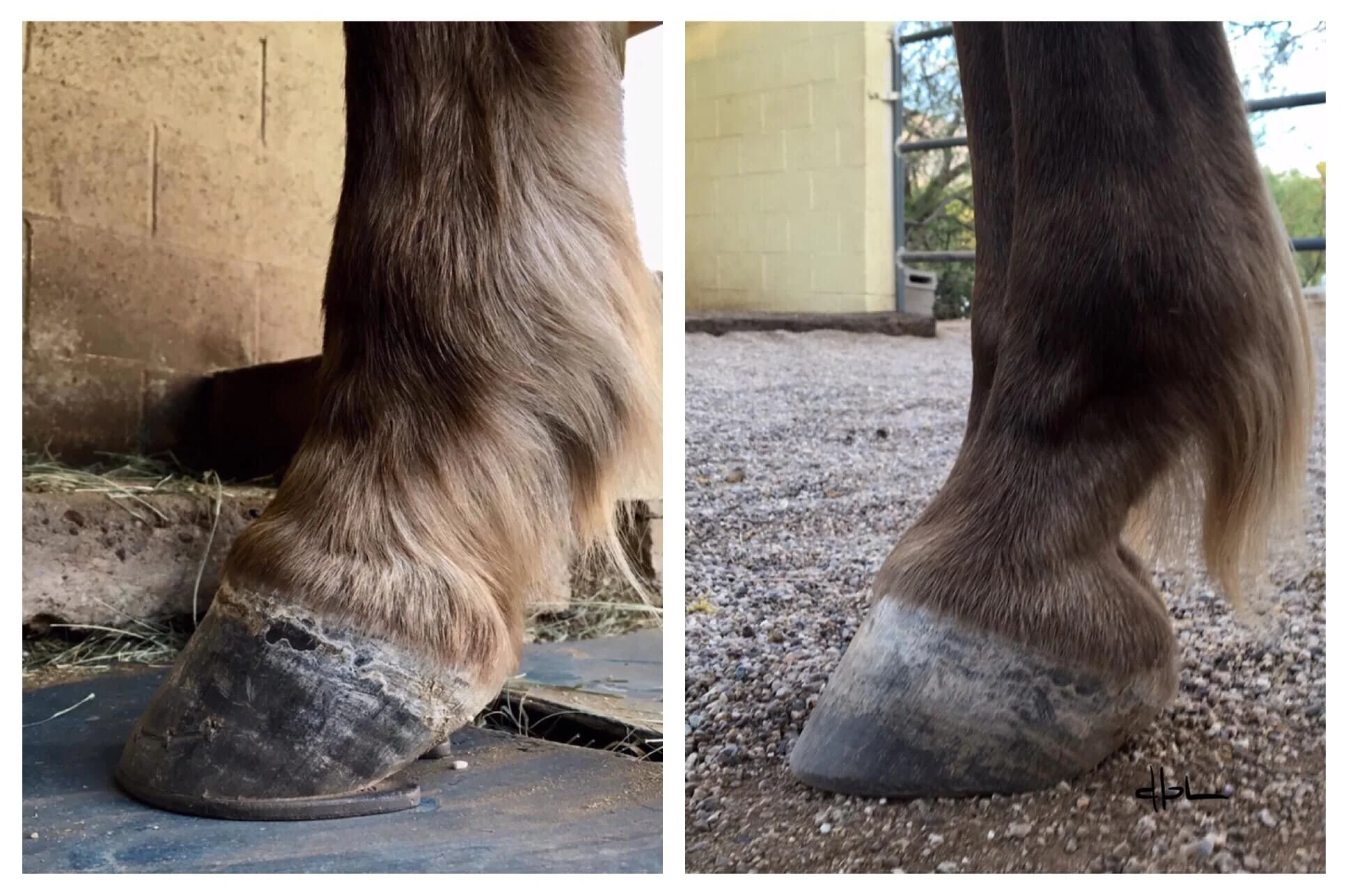 January 2021 - June 2021