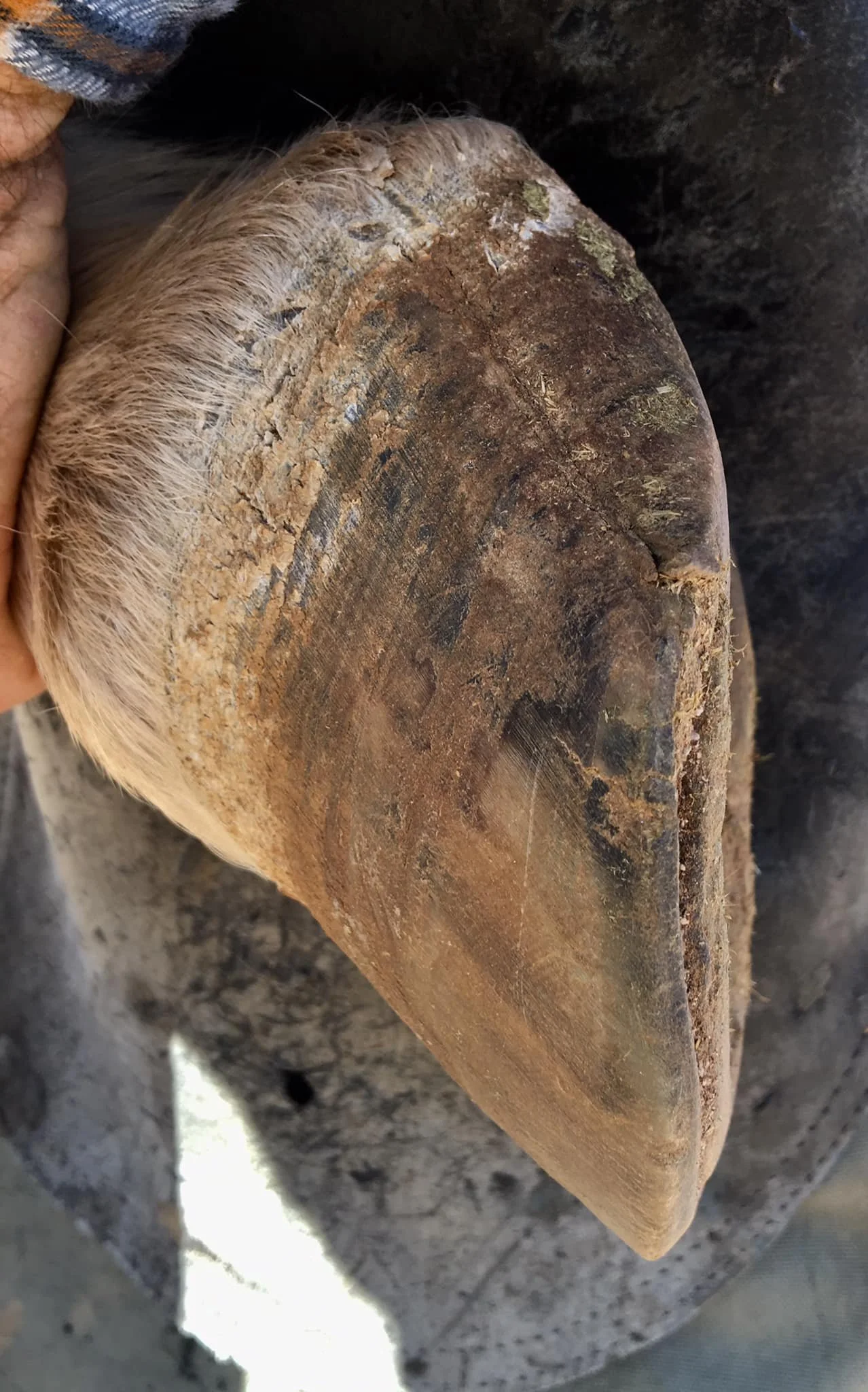 December 2020 - Third Trim