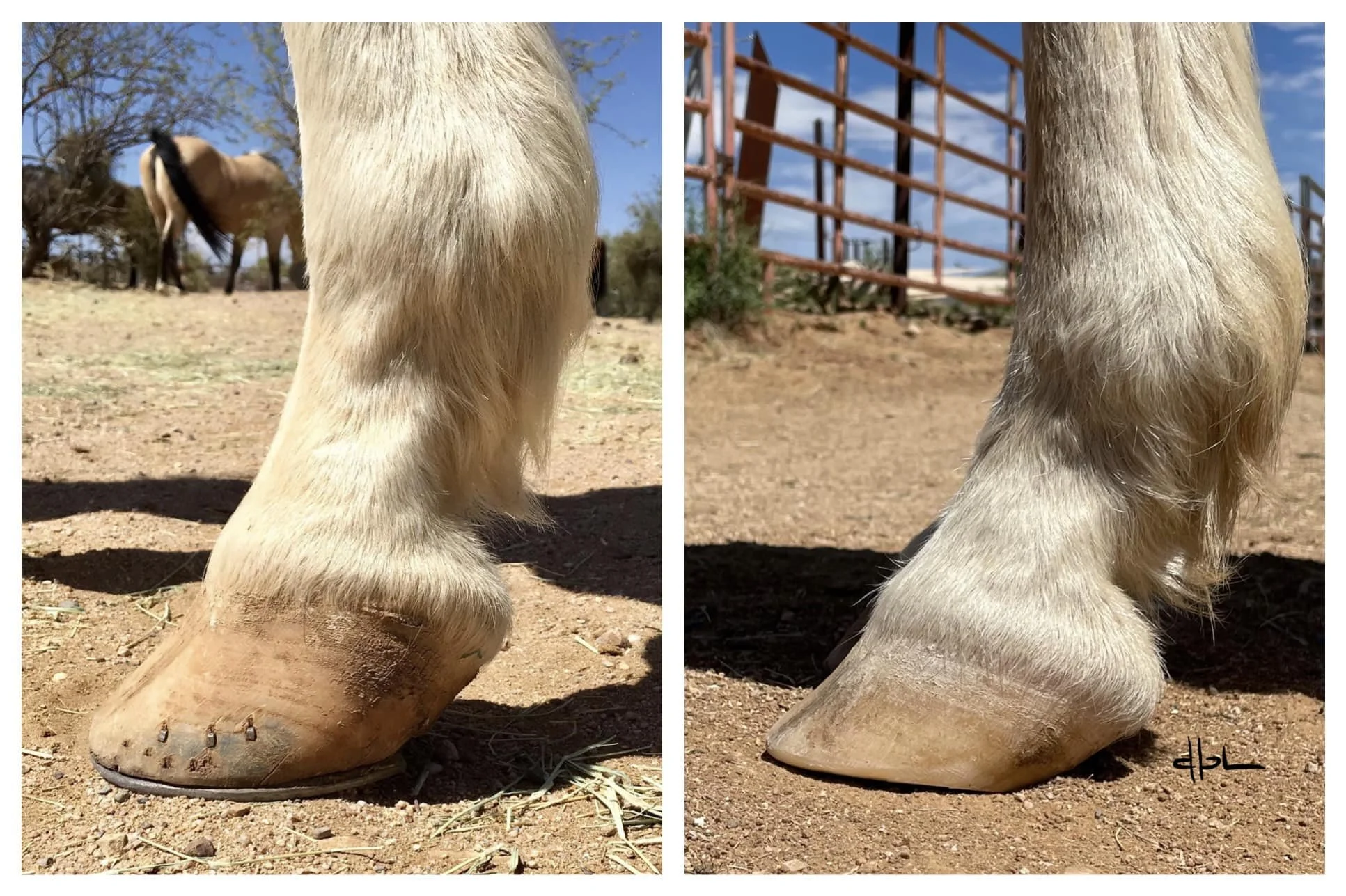 May 2021 - September 2023