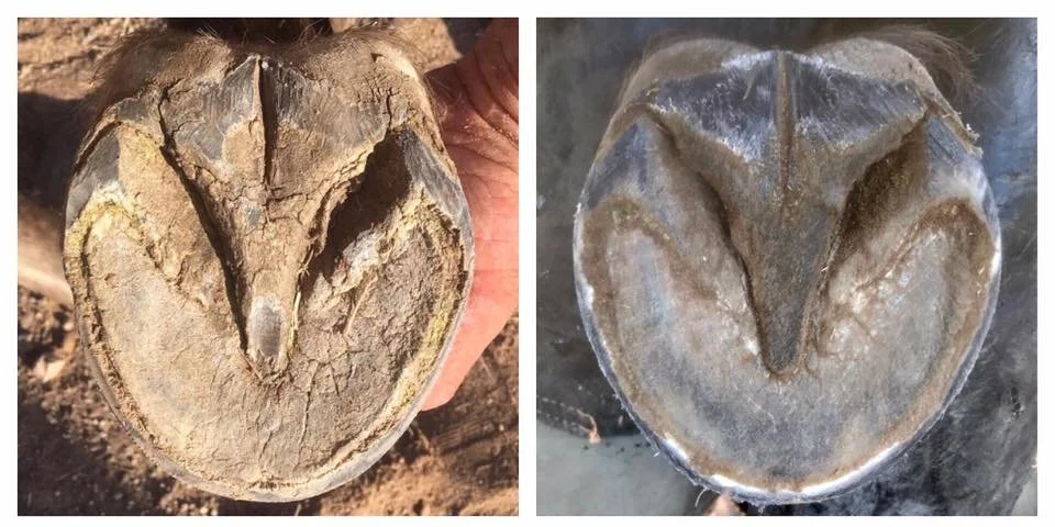 August 2018 - December 2018