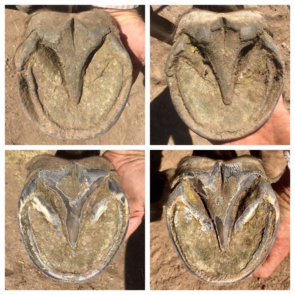 September 2018 - third trim