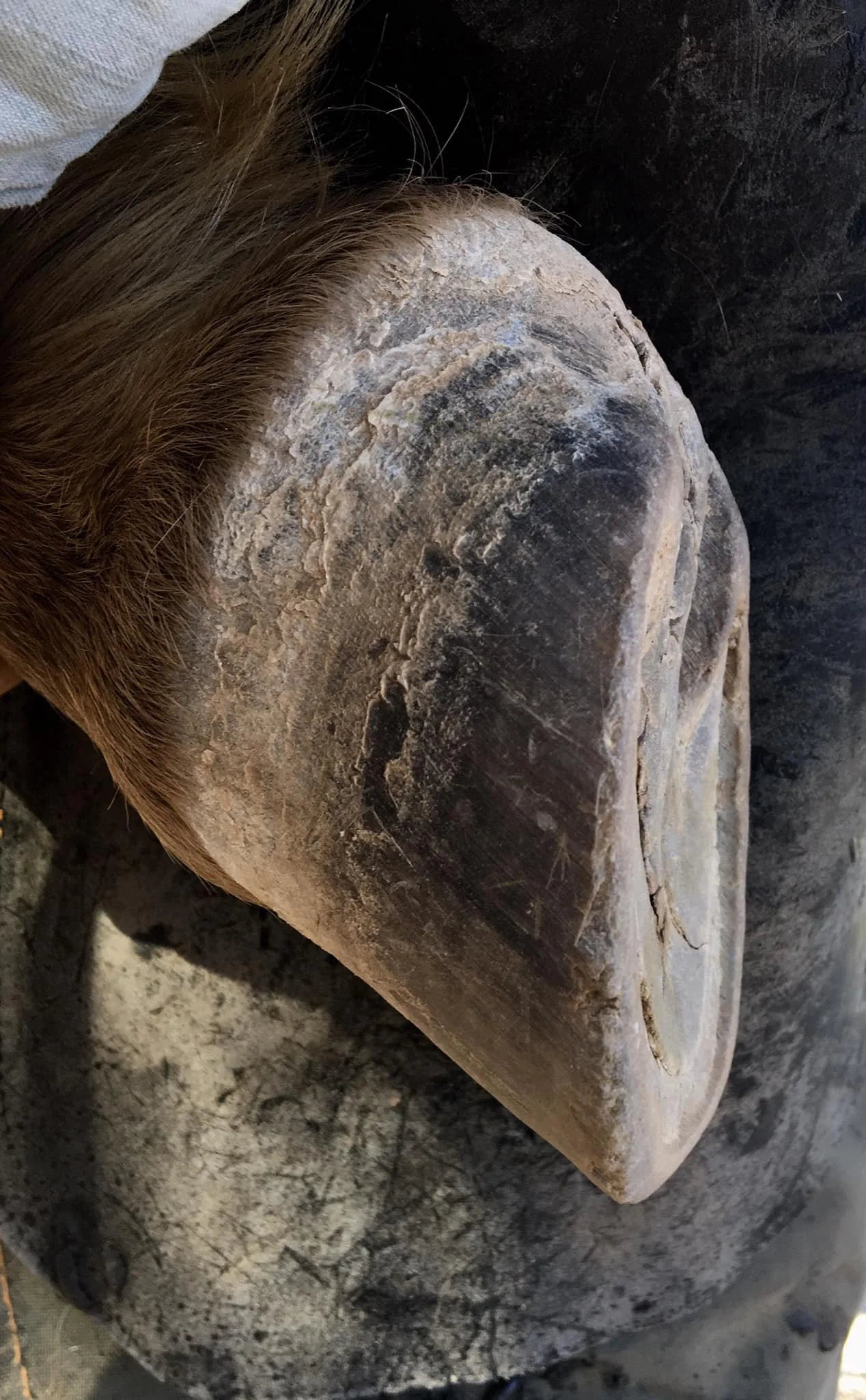 April 2021 - Third trim