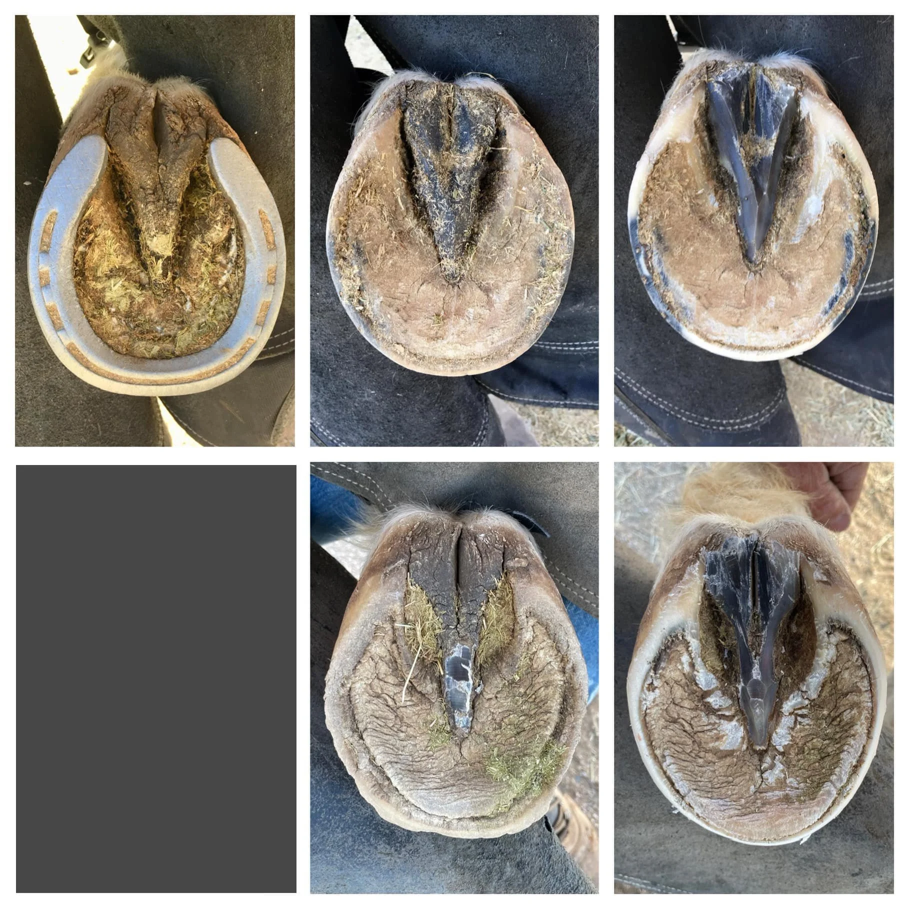 May 2021 - April 2022