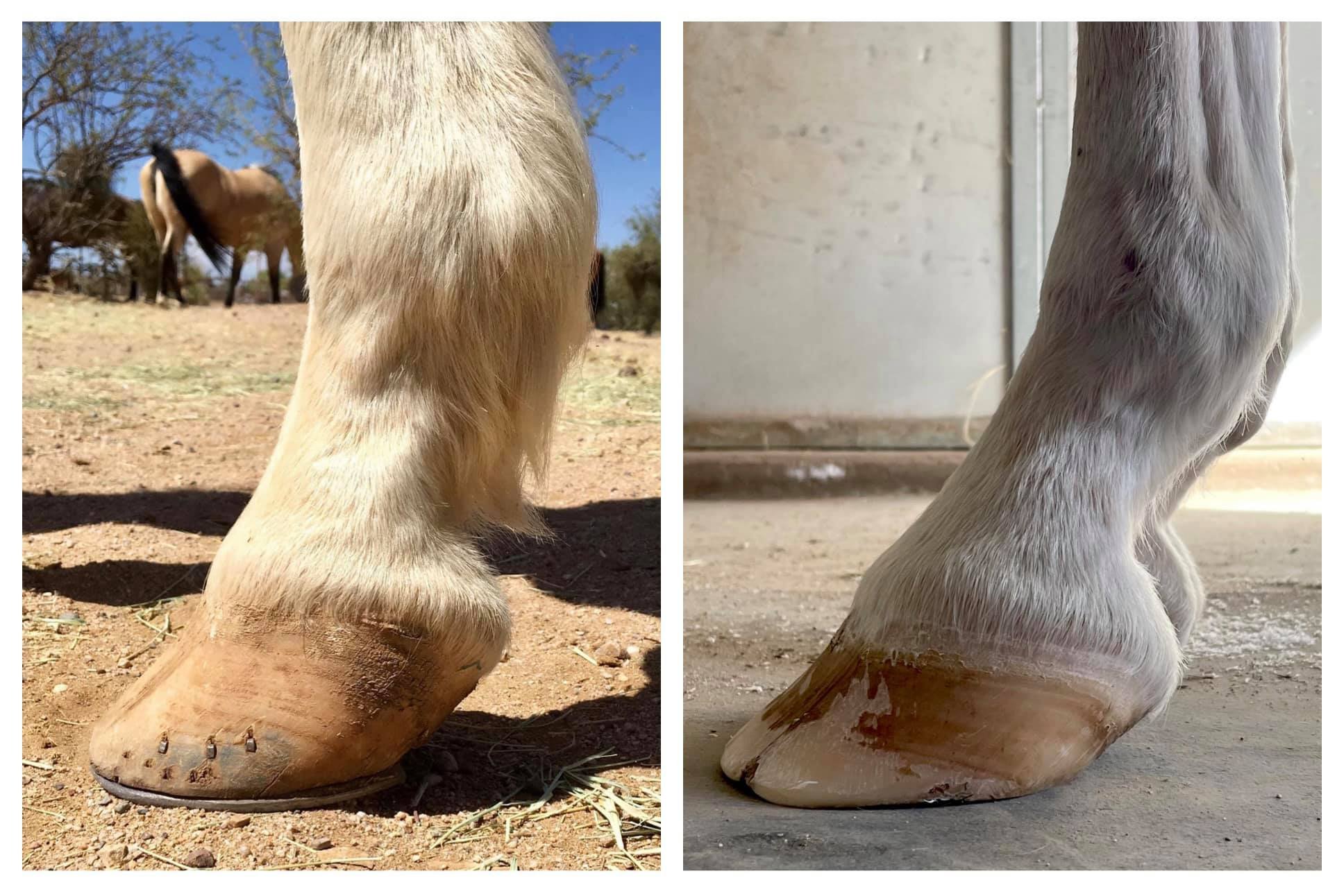 May 2021 - October 2021